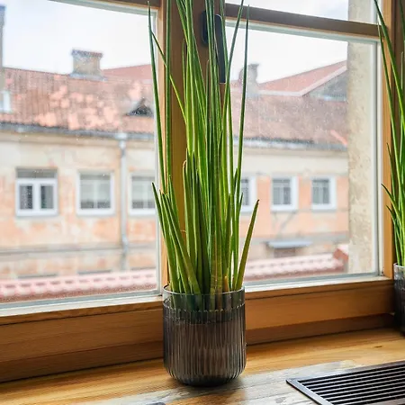 Church Through The Window Wilna