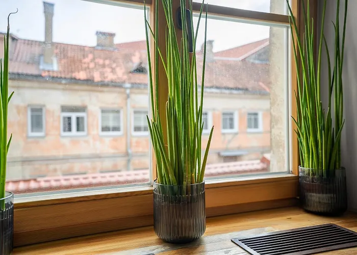 Church Through The Window Вильнюс